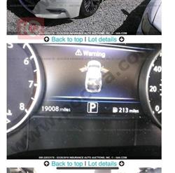 نيسان ماكسيما